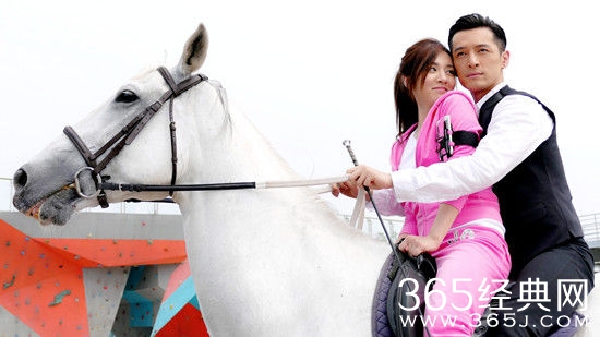 胡歌大好时光骑马是什么品种 胡歌大好时光阿拉伯白马