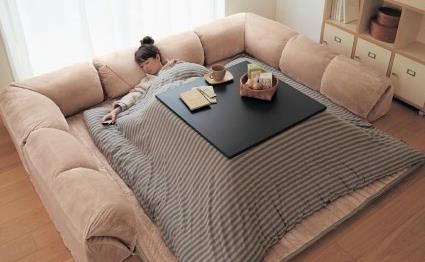 新闻哥：麻溜的快到老子怀里来！2015.10.15