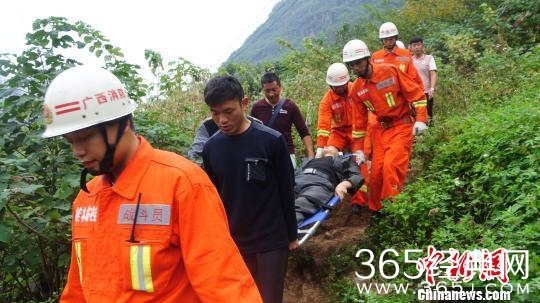 新闻哥：麻溜的快到老子怀里来！2015.10.15