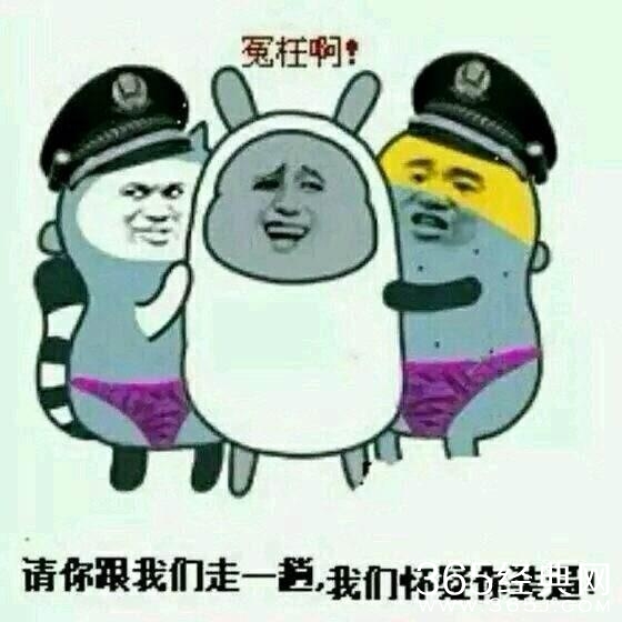 新闻哥：麻溜的快到老子怀里来！2015.10.15