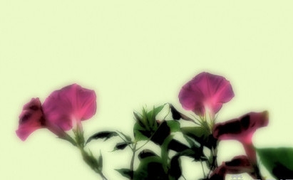 新闻哥：开房没钱就抢劫！2015.10.16