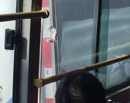 新闻哥：开房没钱就抢劫！2015.10.16