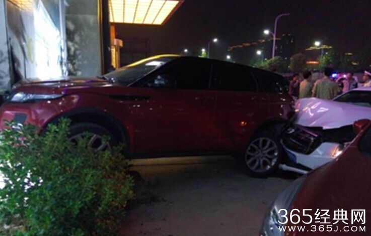 女司机打苍蝇追尾 打死一只价值30万的苍蝇