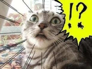 新闻哥：女子裸睡不关门！2015.10.19