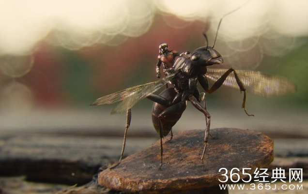 蚁人结局最后为什么会出现美国队长