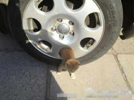 新闻哥：现在的罪犯真的有才！2015.10.20