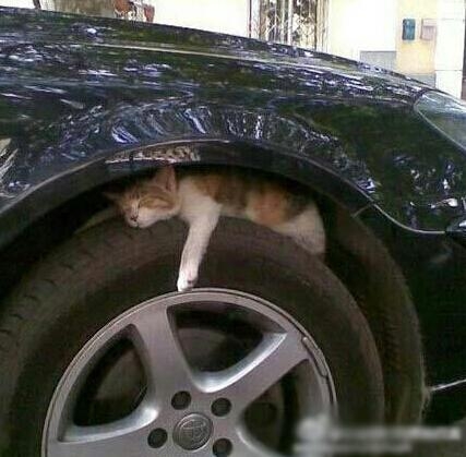 新闻哥：现在的罪犯真的有才！2015.10.20