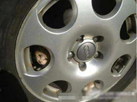 新闻哥：现在的罪犯真的有才！2015.10.20