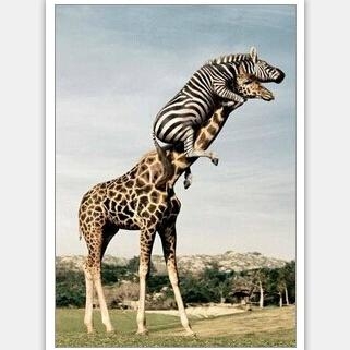 新闻哥：现在的罪犯真的有才！2015.10.20