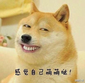 新闻哥：大尺度裸体性教育！2015.10.21