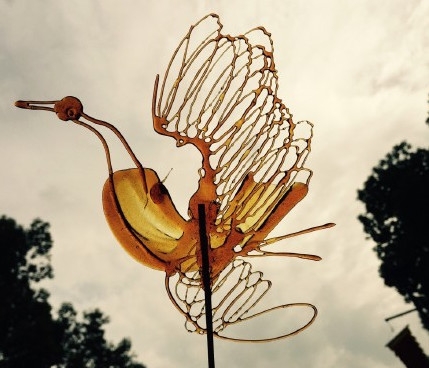 新闻哥：大尺度裸体性教育！2015.10.21