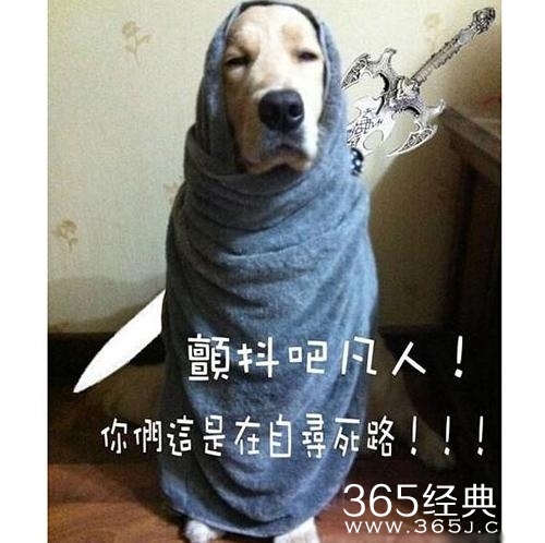 新闻哥：小妹，来交际一下把！2015.10.22