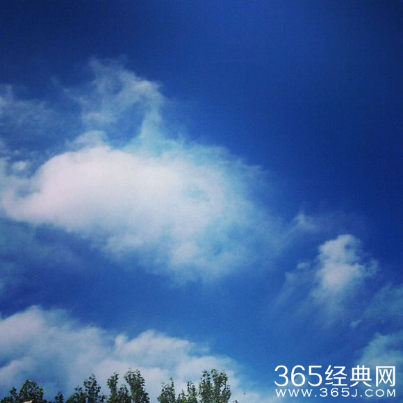 梦里十年终是客