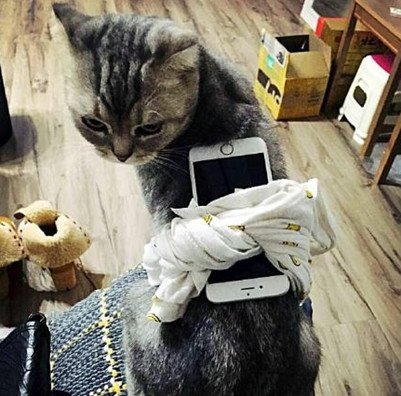 新闻哥：变态凶徒捅人菊花！2015.10.23