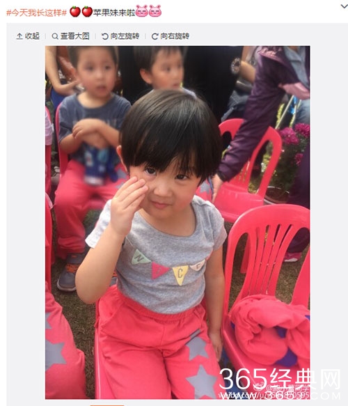 鲍蕾为什么热搜？鲍蕾陆毅二胎自称苹果妹