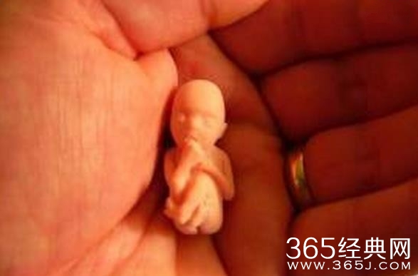 女留学生自爆海外堕胎经历 德国对生命的重视