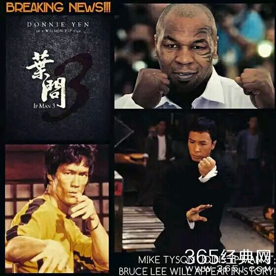 叶问3影评 叶问3评价