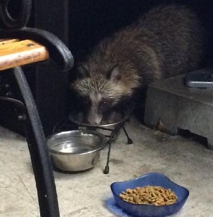 新闻哥：讲方言能救人一命！2015.10.28