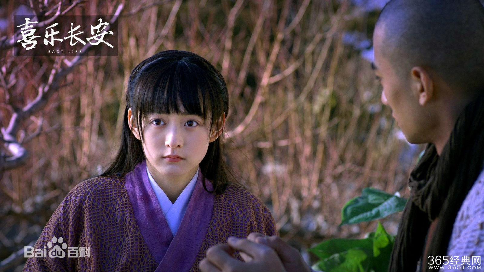 喜乐长安影评 喜乐长安评价