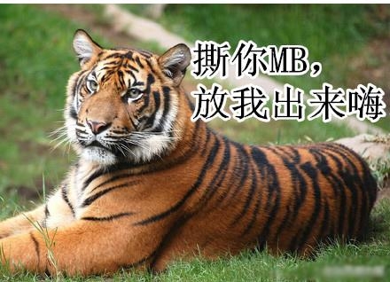 新闻哥：再叫放老虎咬你！2015.10.29