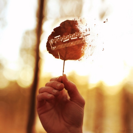 怕，就会输，不怕，有可能赢！