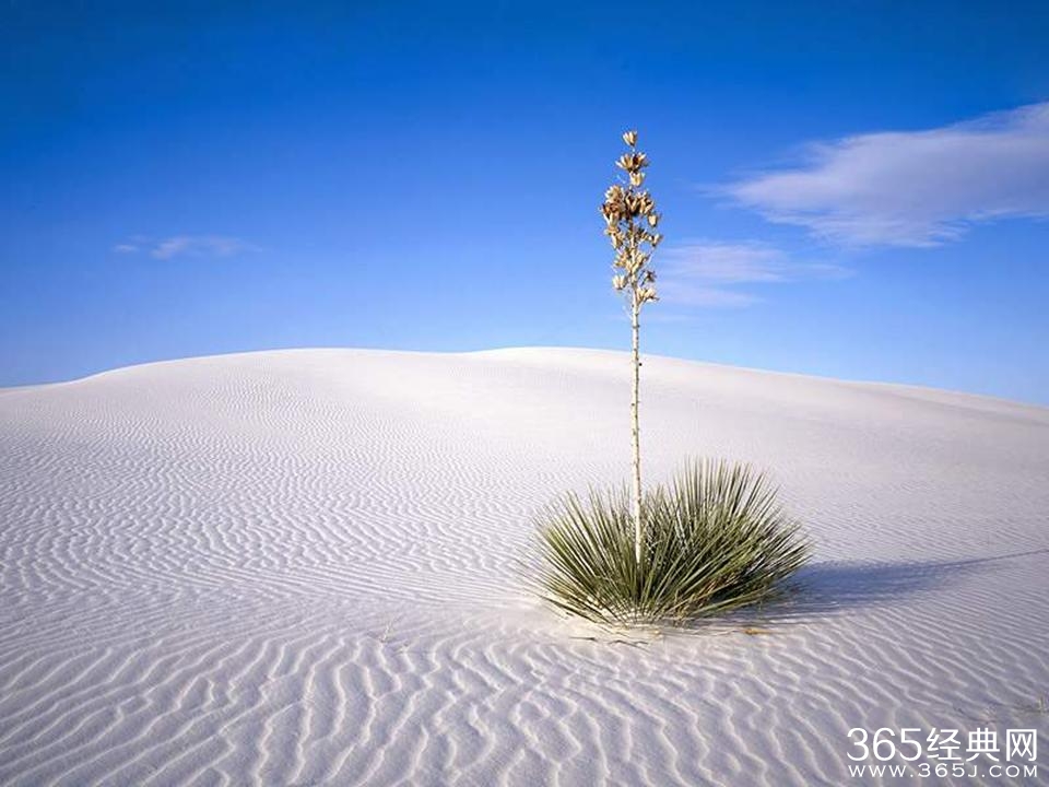 摔倒后也要华丽起身