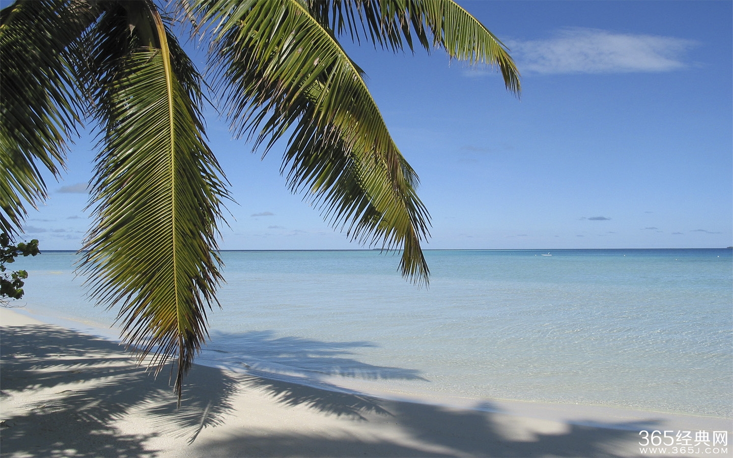 关于生日的说说 写给自己的生日说说