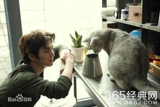 韩剧想象猫咪什么时候上映 想象猫咪上映时间