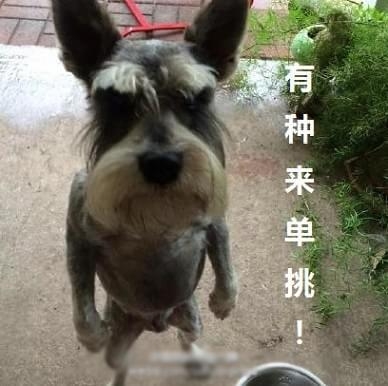 新闻哥：比我帅还是差那么一点。2015.11.02