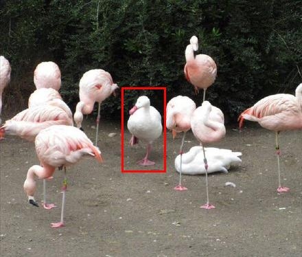 新闻哥：抽奖又特么中了避孕套。2015.11.03