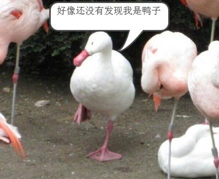 新闻哥：抽奖又特么中了避孕套。2015.11.03