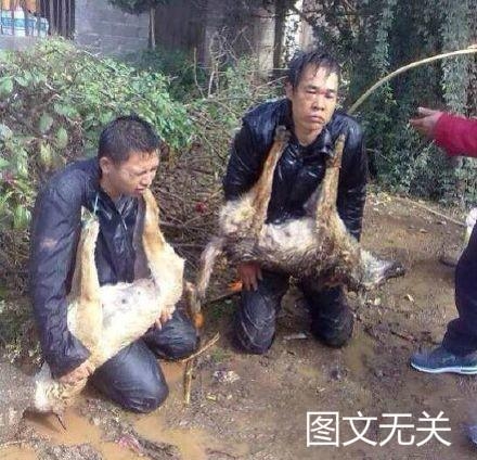 新闻哥：抽奖又特么中了避孕套。2015.11.03