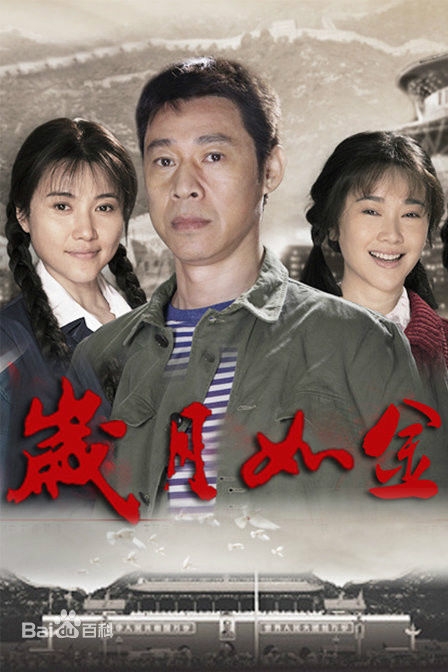 岁月如金全集剧情介绍