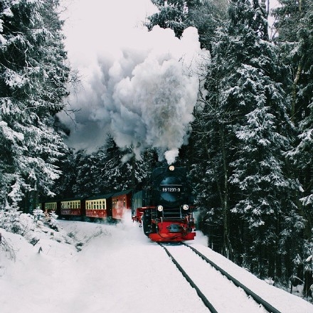 幸亏那些艰难的日子你没有妥协