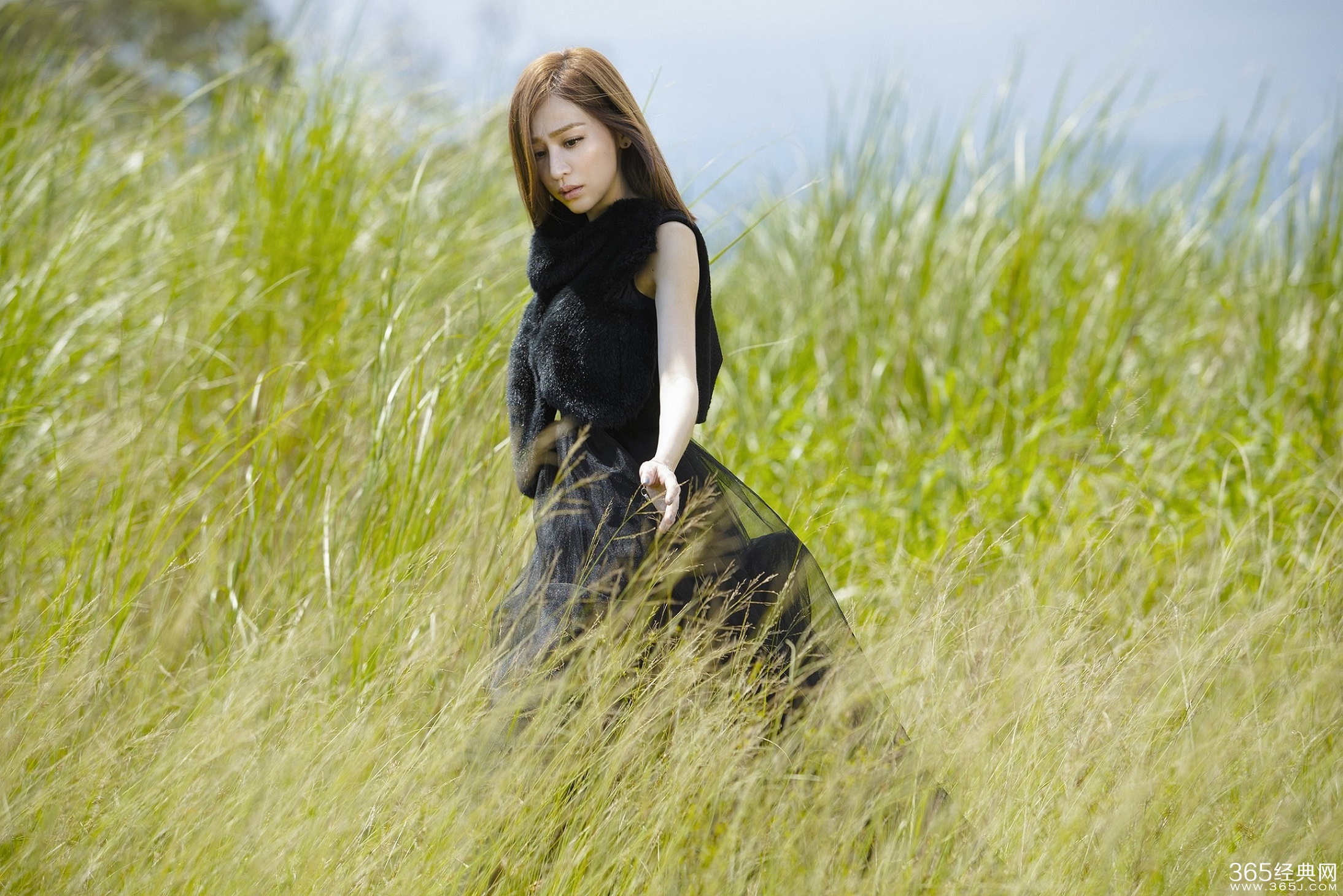 王心凌远在眼前的你mv在线观看及歌词赏析