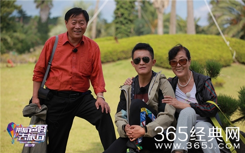 杨志刚带着爸妈去旅行什么时候播