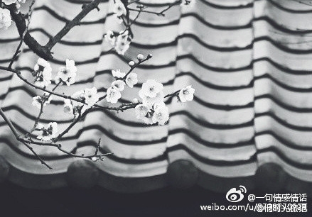 你一定要敢于行动