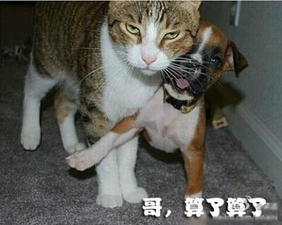 新闻哥：大妈表演偷窃神技！2015.11.05