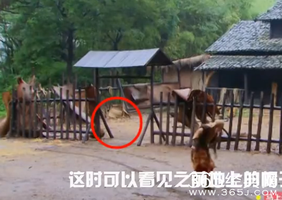 新济公活佛穿帮镜头第一期