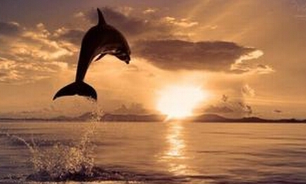 越努力奋斗,离成功越近