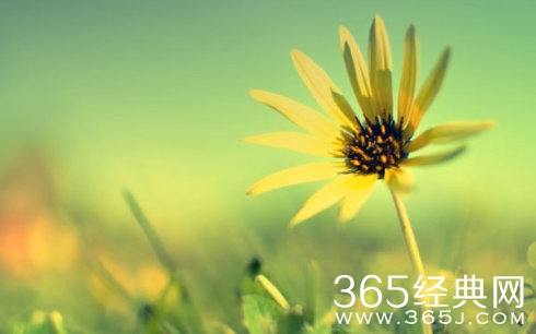 你越牛逼,机会越多