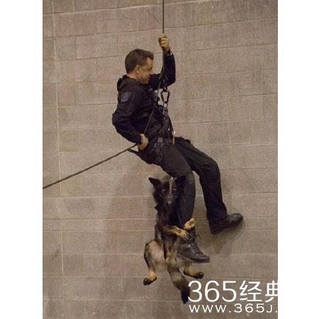 新闻哥：你们家乡开始下雪了吗？2015.11.06