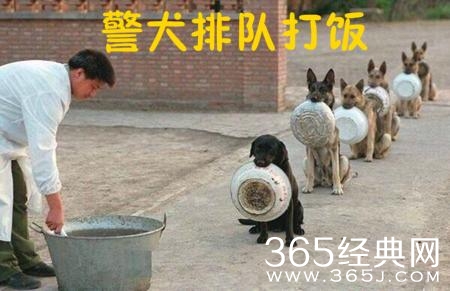 新闻哥：你们家乡开始下雪了吗？2015.11.06