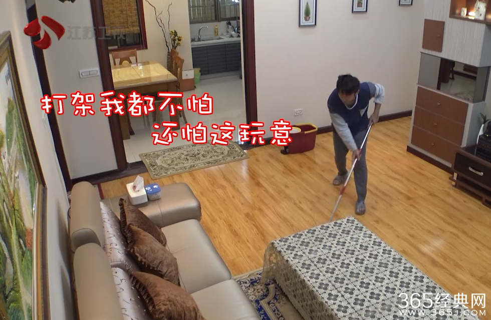 女婿上门了邹市明是哪一期