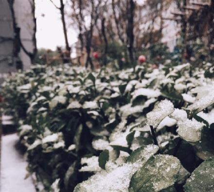 新闻哥：你们家乡开始下雪了吗？2015.11.06