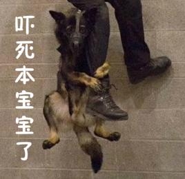 新闻哥：你们家乡开始下雪了吗？2015.11.06