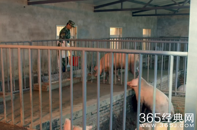 神鹰反恐特战队第3集剧情介绍