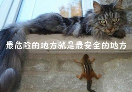 新闻哥：你们家乡开始下雪了吗？2015.11.06