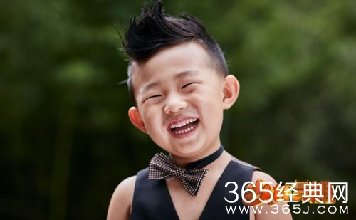 少林英雄王维浩个人介绍