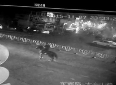 新闻哥：你想要什么颜值的丈母娘！2015.11.09